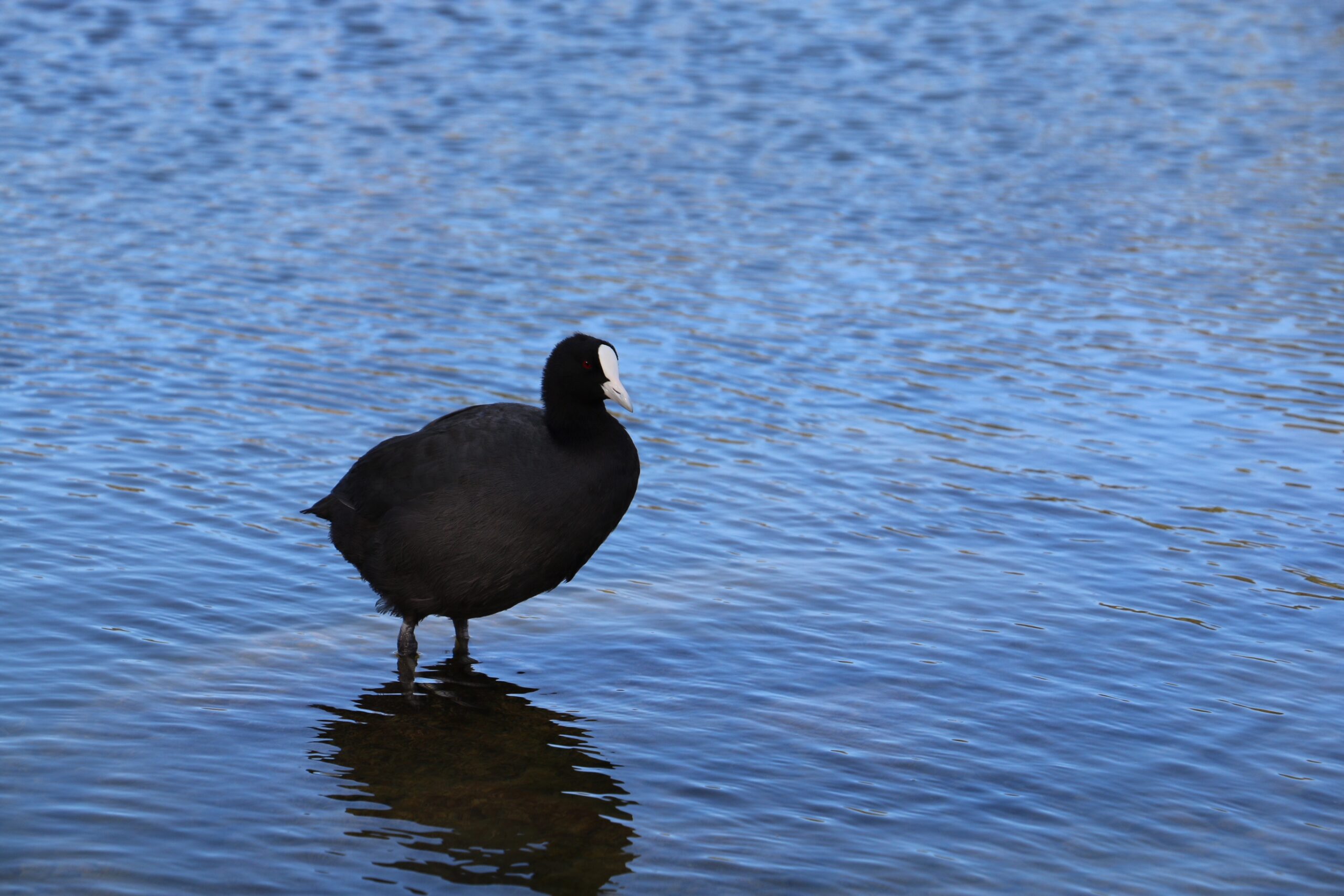 2026 – Summer Newsletter