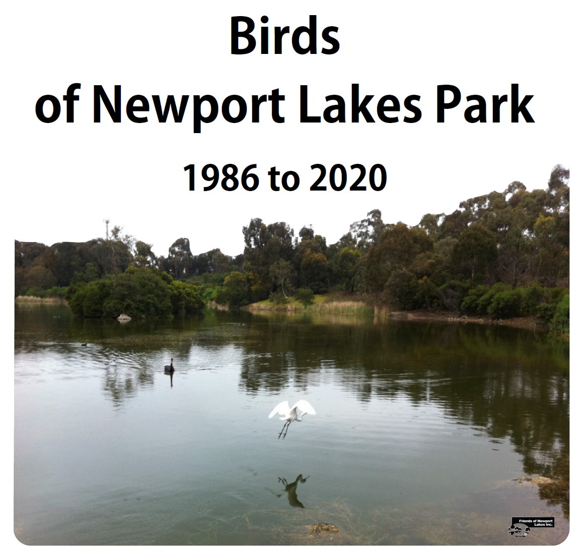 Digital Resource Booklet: Birds of Newport Lakes